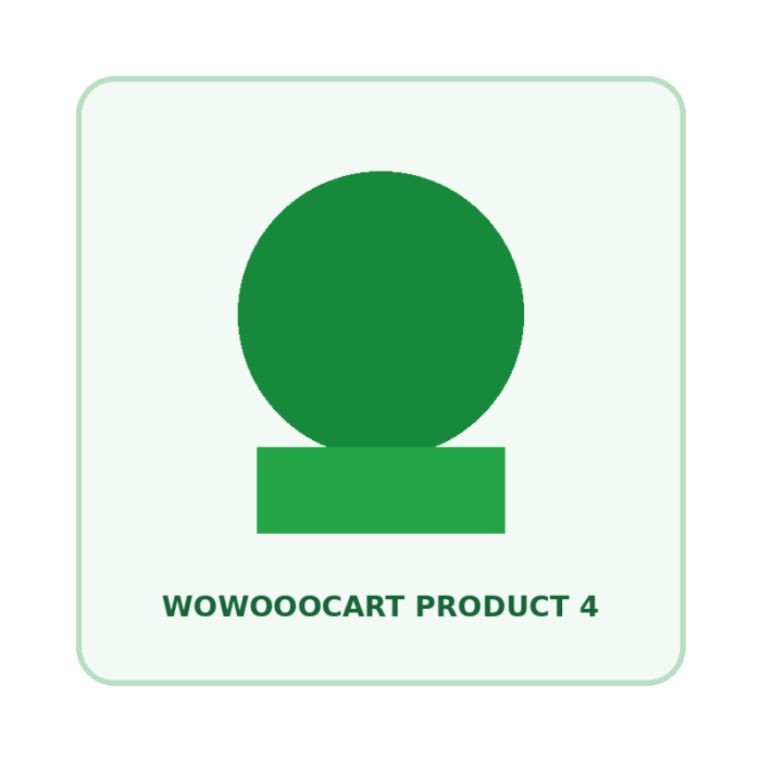 WOWOOOCART Demo Product 4